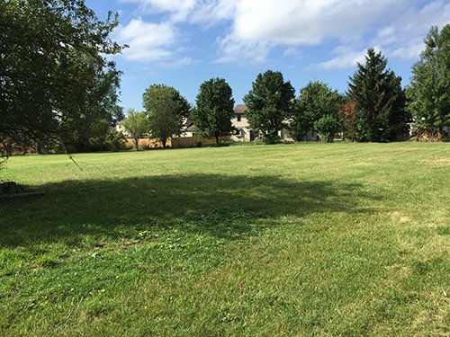 Property photo 4 - REAL ESTATE AUCTION - 4.3 ACRES IN ALLEN COUNTY